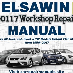 ELSAWIN 2017 Workshop Service Repair Manual